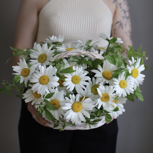 Basket of Chamomile - Размер S