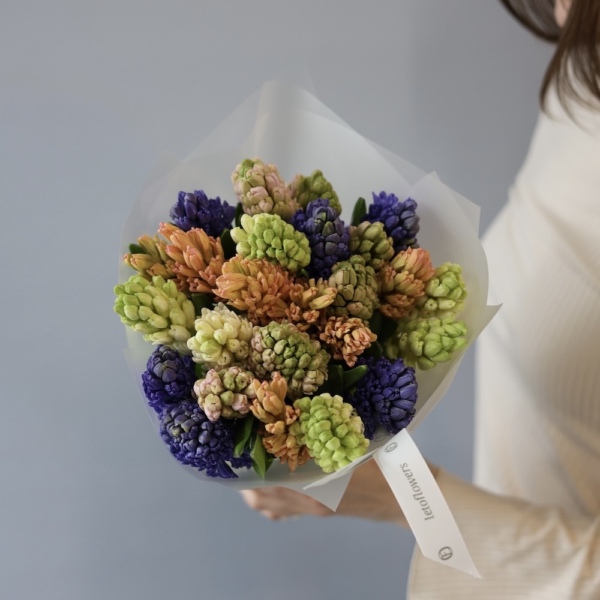 Mixed color hyacinthus - 25 гиацинтов 