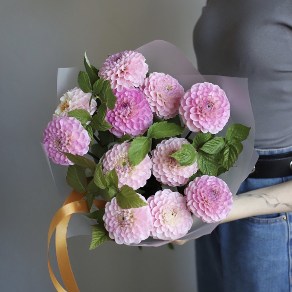 Light pink Dahlia - 11 георгин с зеленью