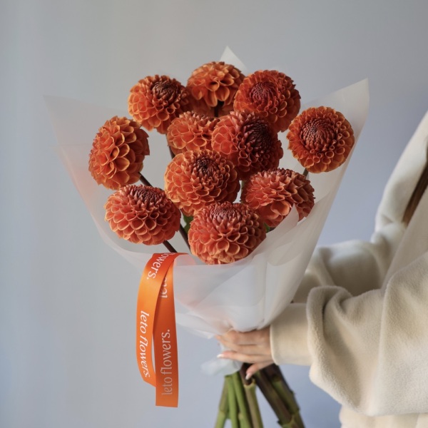 Orange Dahlia - 11 георгин