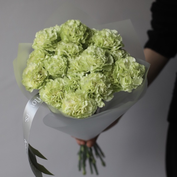 Green Carnations - 19 гвоздик
