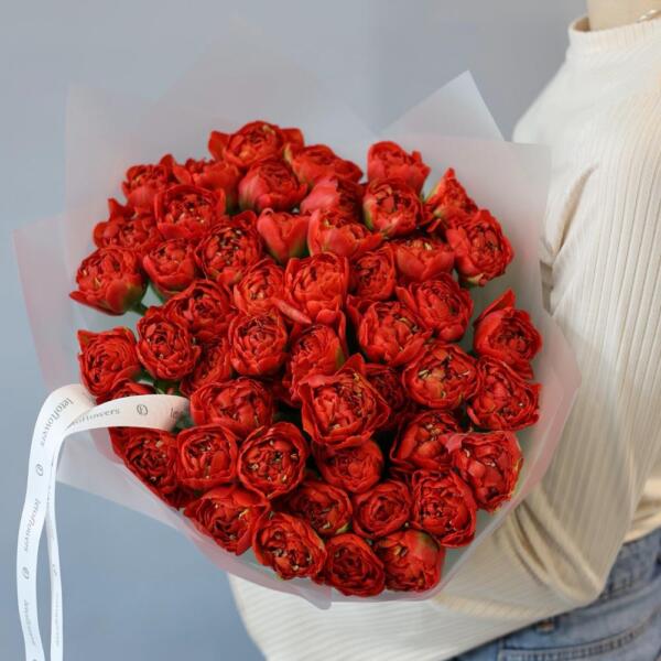 Red Tulips - 49 тюльпанов