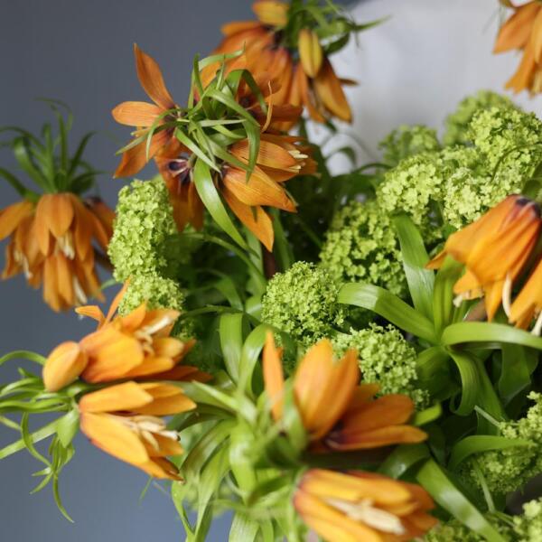 Bouquet of viburnum and fritelaria - Размер M