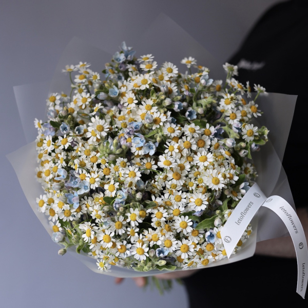 Chamomile with Oxypetalum -  Размер S 
