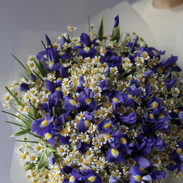 Irises with Chamomile Irises with Chamomile -   Размер M
