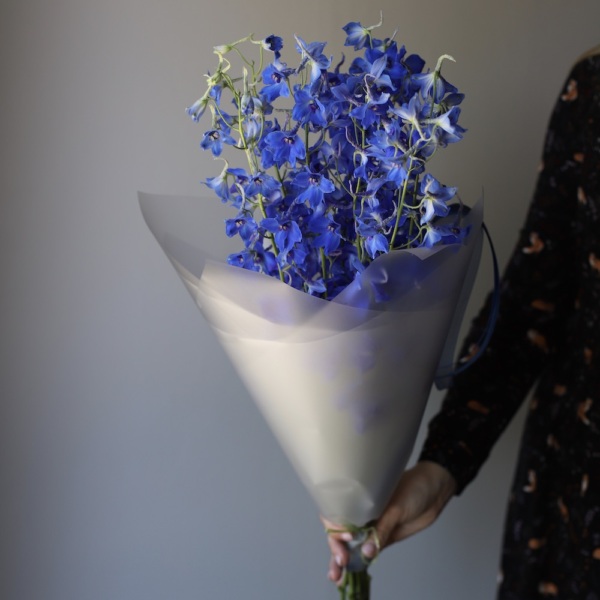 Blue Delphinium - 9 дельфиниумов