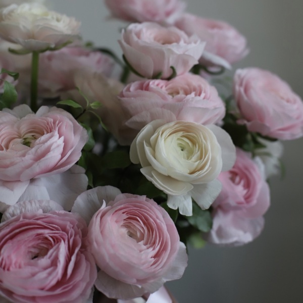 Ranunculus in a hat box