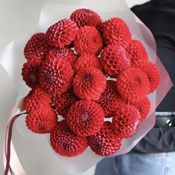 Red Dahlia - 19 георгин 