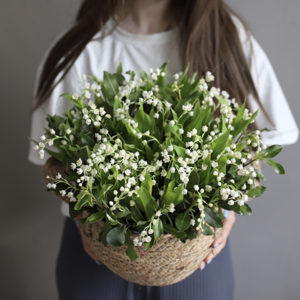 Lily of the Valley in a basket - 75 ландышей