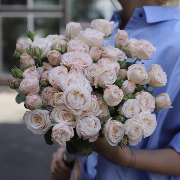 Bombastic spray rose - 19 кустовых роз