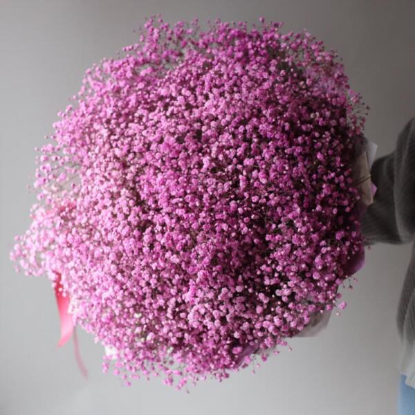 Pink Baby's Breath - 25 гипсофил 
