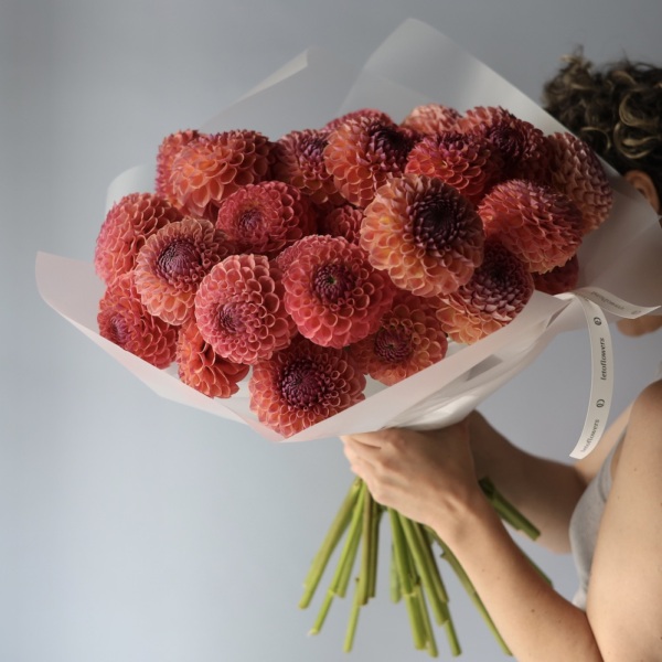 Peachy Dahlias - 35 георгин
