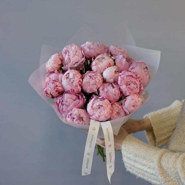 Pink Peony -  19 пионов 