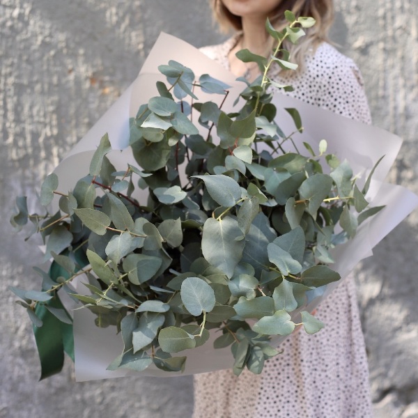 Bouquet of eucalyptus  -  Размер L 
