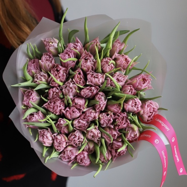 Lilac Tulips - 49 тюльпанов