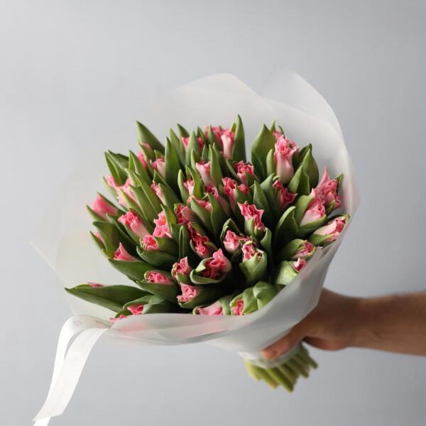 Light-pink Tulips - 49 тюльпанов