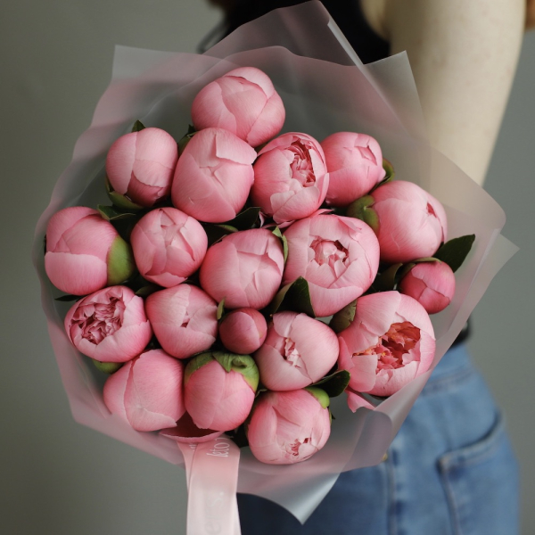 Salmon Peony -  19 пионов 
