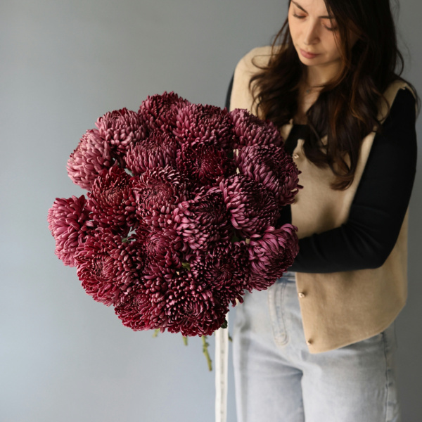 Violet Chrysanthemum - 19 хризантем