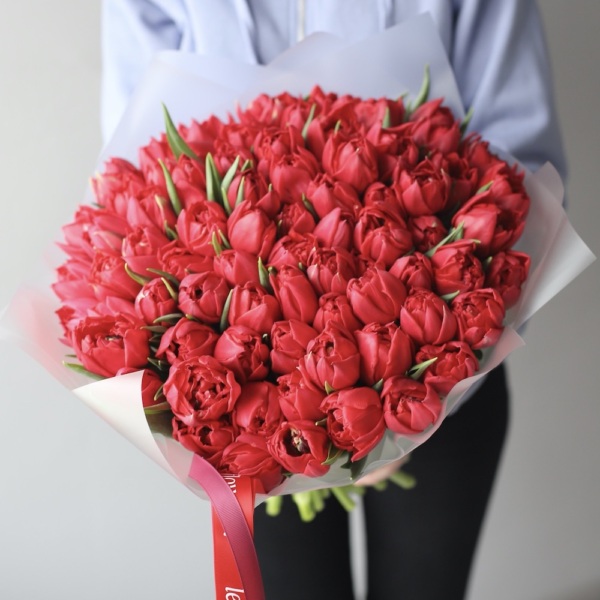 Red Tulips Spitfire - 75 тюльпанов