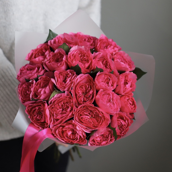 Baronesse Garden Rose -  23 розы 