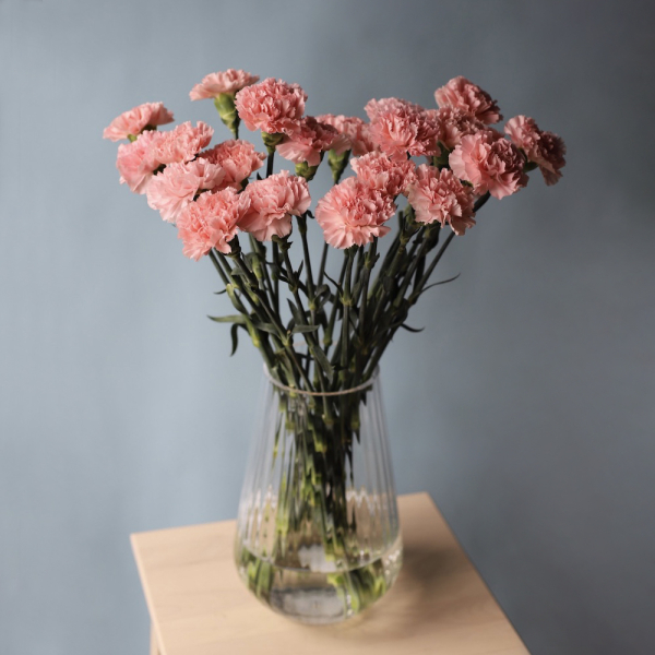 Carnations in a vase -  19 гвоздик 