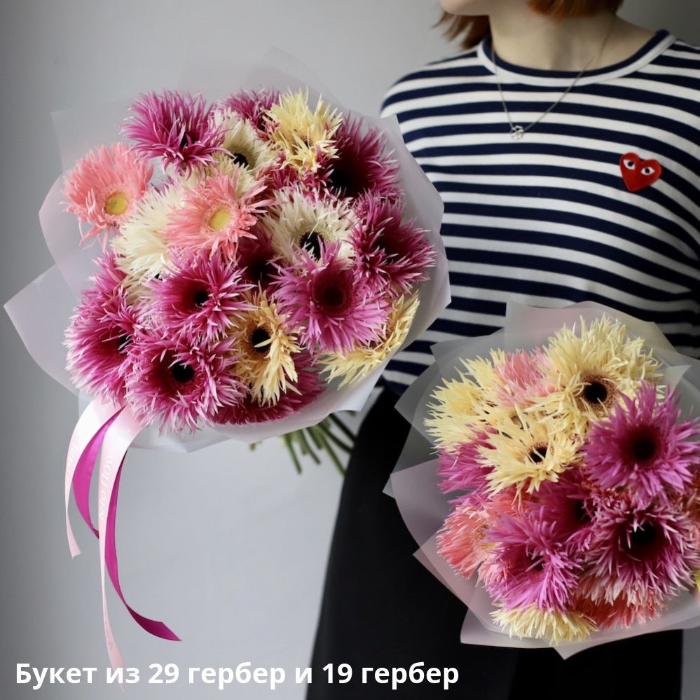 Curly Gerbera Curly Gerbera -  Букет из 29 гербер и 19 гербер