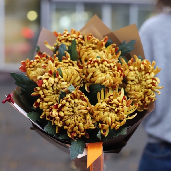 Ochre Chrysanthemum - 9 хризантем