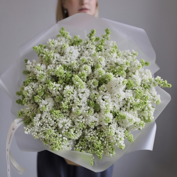 White Lilac - 39 веток сирени