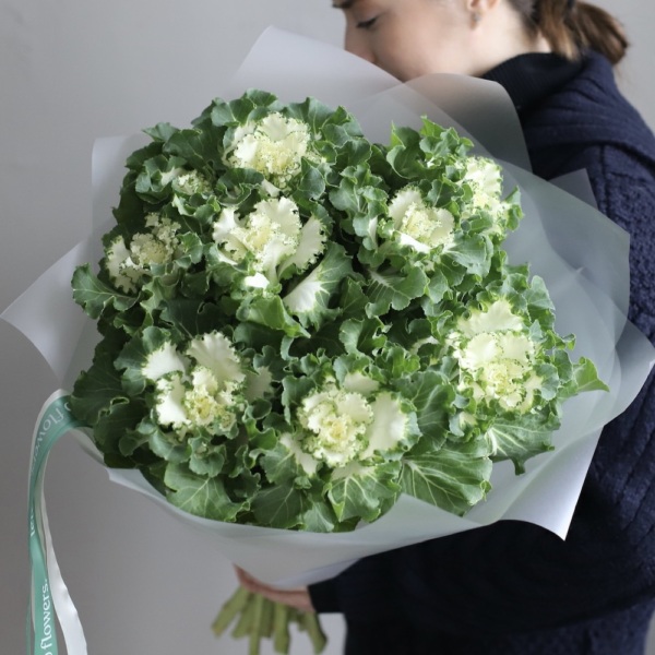 Brassica - 9 брассик