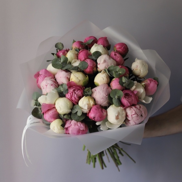 Mixed color Peony - 39 пионов