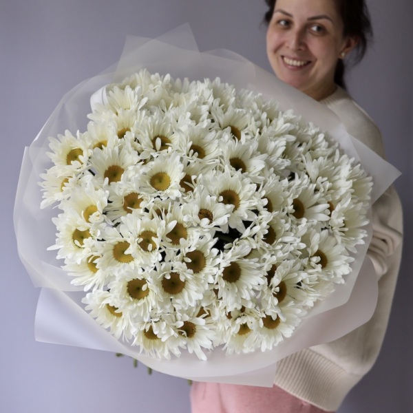 Large Daisies - 75 ромашек