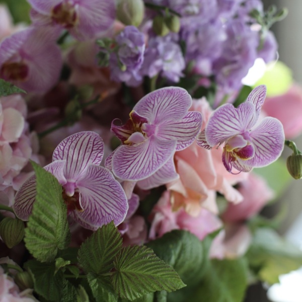 Basket with Hydrangeas, Stock, Garden Roses and Orchids