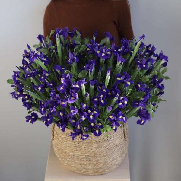Irises in basket - Размер L
