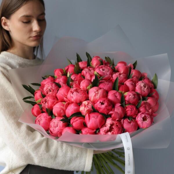 Coral Peony - 49 пионов
