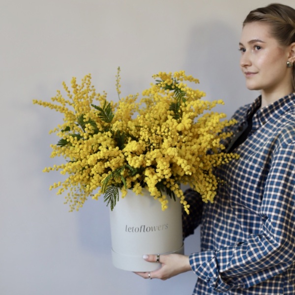 Mimosa in a hat box - Размер M