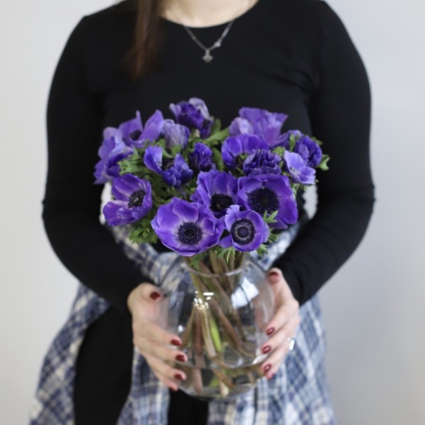 Anemones in a vase -  19 анемон 