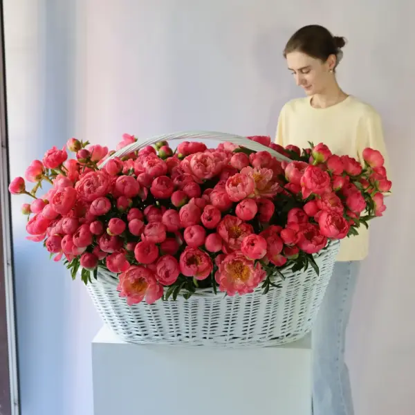 Coral Peony - 201 пионов в корзине