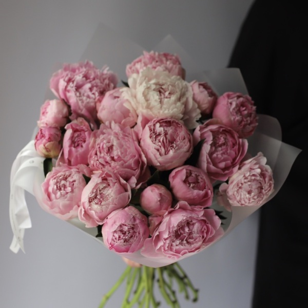 Pink Peony -  19 пионов 