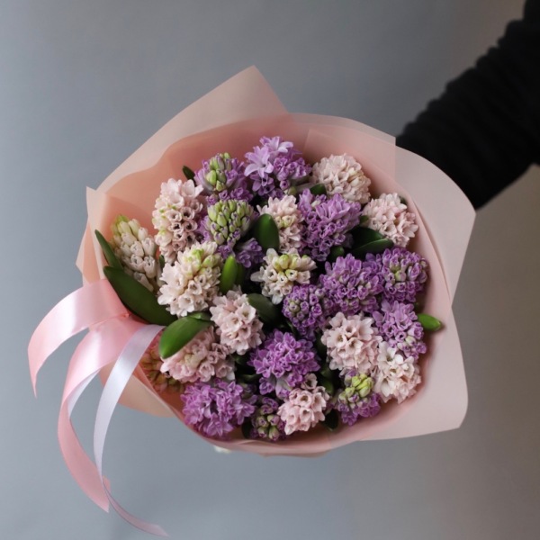 Mixed color hyacinthus - 25 гиацинтов