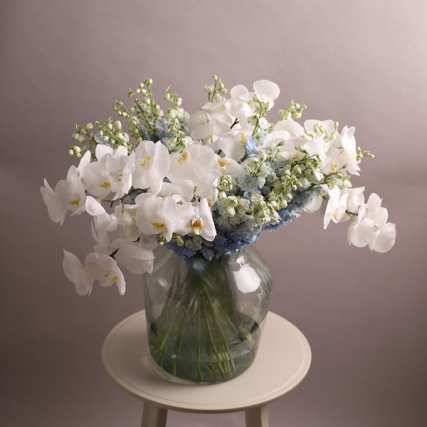 Delphinium with Orchids in a vase - Размер XL 