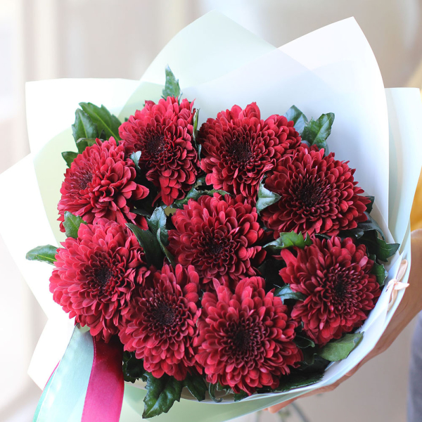 Red Chrysanthemum - 9 хризантем