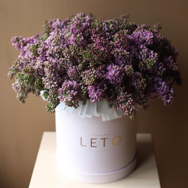 Lilac in a hat box - Размер L