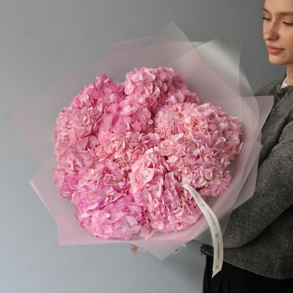 Colombian Hydrangeas - 11 гортензий