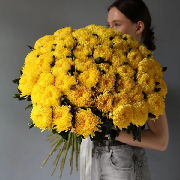 Large yellow Chrysanthemum - 49 хризантем