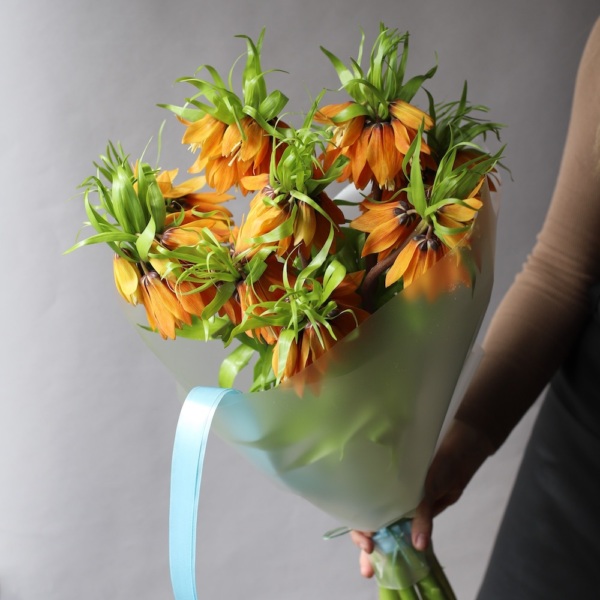 Orange Fritillaria - 9 фритиллярий 