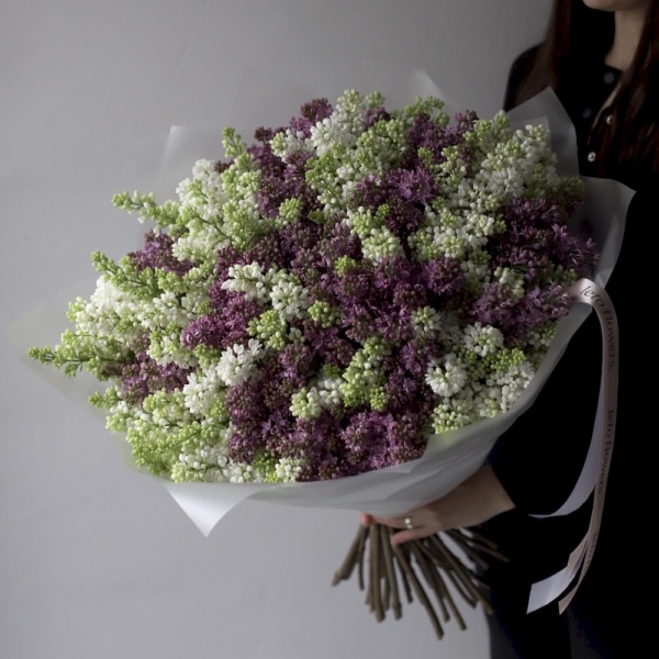 Mixed color Lilac - 49 веток сирени