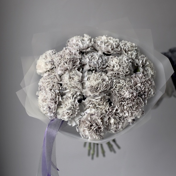 Black Molly Carnations - 19 гвоздик