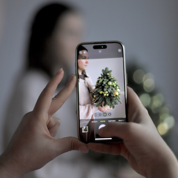 We send the picture of composition to you